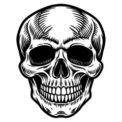 skull and crossbones head mascot,skull silhouette,vector,icon,svg,characters,Holiday t shirt,black skull drawn trendy logo Vector illustration,skull on a white background,eps,png