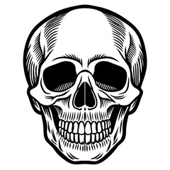 skull and crossbones head mascot,skull silhouette,vector,icon,svg,characters,Holiday t shirt,black skull drawn trendy logo Vector illustration,skull on a white background,eps,png