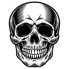 skull and crossbones head mascot,skull silhouette,vector,icon,svg,characters,Holiday t shirt,black skull drawn trendy logo Vector illustration,skull on a white background,eps,png