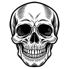 skull and crossbones head mascot,skull silhouette,vector,icon,svg,characters,Holiday t shirt,black skull drawn trendy logo Vector illustration,skull on a white background,eps,png