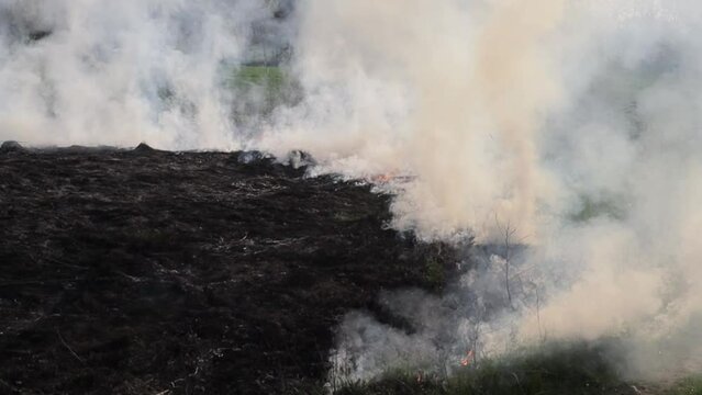 Burning dry grass on the field. Fire in the field. Environmental disaster, environment, climate change, environmental pollution