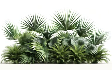 Obraz premium Green leaves isolated on white background and free copy space