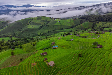 Rice terrace fields at Pa Bong Piang village Chiang Mai, Thailand. - 782785105