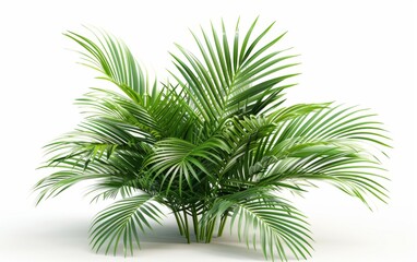 Green leaves isolated on white background and free copy space