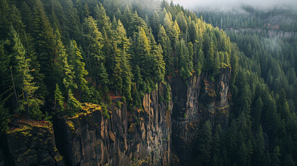 Majestic Forest Cliffs, Lush evergreen forest with towering cliffs shrouded in mist. - obrazy, fototapety, plakaty