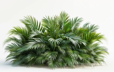 Fototapeta premium Green leaves isolated on white background and free copy space