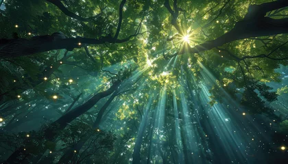 Foto op Plexiglas anti-reflex Delve into the heart of a lush, verdant forest, where sunlight filters through a canopy of emerald leaves, casting enchanting patterns on the forest floor below © jamrut