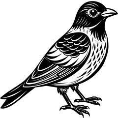 bird on a branch