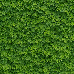Fresh green foliage fresh leaves, natural green leaves banner,background