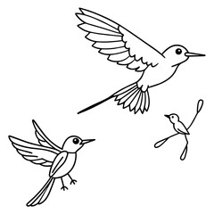 illustration of a bird