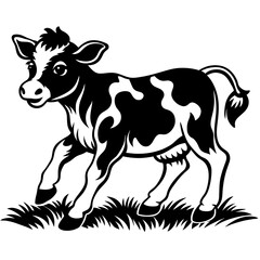 black and white cow