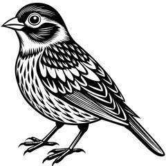 bird on a branch