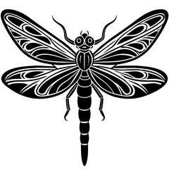 dragonfly illustration