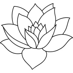 lotus flower vector