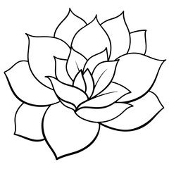 hand drawn flower