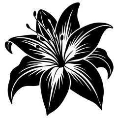 black and white flower