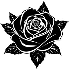 Fototapeta premium black and white rose