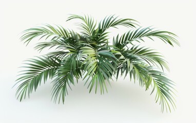 Green leaves isolated on white background and free copy space