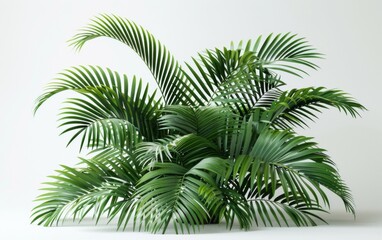 Fototapeta premium Green leaves isolated on white background and free copy space