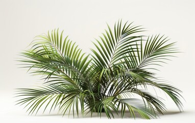 Fototapeta premium Green leaves isolated on white background and free copy space