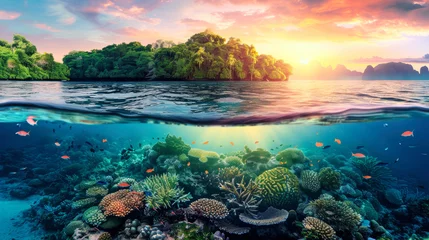 Foto op Aluminium A coral reef is visible underwater with a small tropical island in the distance © Anoo