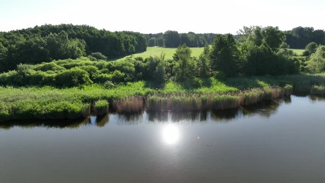Aerial view of a clean blue river water with reeds and sun reflection on surface. Green trees, flowers and meadow near lake. Aerial flying drone view.