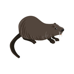 vector drawing nutria, coypu, cartoon animal isolated at white background, hand drawn illustration - 782808758