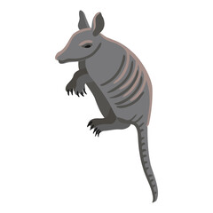 vector drawing armadillo, cartoon animal isolated at white background, hand drawn illustration - 782809108