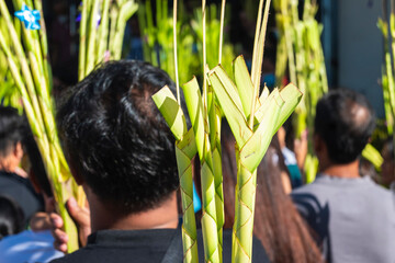 People congregate outside the church with palm fronds to celebrate Palm Sunday.