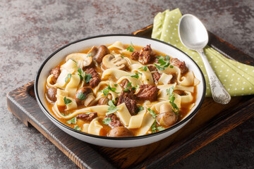 Stroganoff Soup is made with beef steak, mushrooms and noodles in a fragrant creamy broth closeup...
