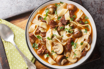 Rich beef stroganoff soup with homemade noodles and mushrooms close-up in a bowl on the table. Horizontal top view from above