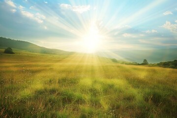 Beautiful summer landscape with meadow and sun in the sky