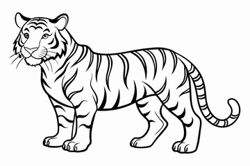  tiger  black outline in white background vector illustration