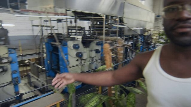 Handheld POV of young African American man wearing white undershirt showing potted green plants growing inside industrial plant at camera while recording vlog from workplace