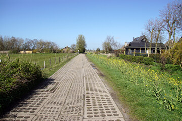 Road, path with concrete slabs with permeable round open holes, in the middle concrete tiles with square holes. Meadows. Flowering field mustard (Brassica rapa) on the roadside. Netherlands, Spring 