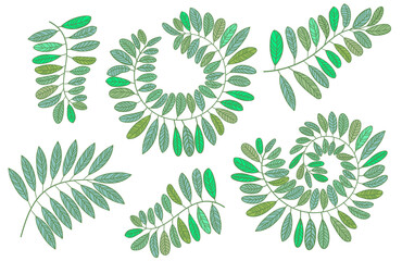 A set of branches with leaves of different configurations for your projects. Collection in flat style.  The theme of ecology and love for nature, nature conservation. Vector illustration