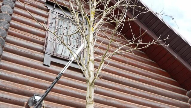 seasonal work in the garden, trimming fruit trees with telescopic pruners