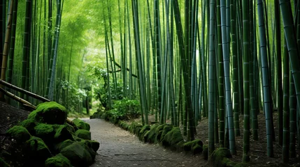 Badezimmer Foto Rückwand bamboo forest in the morning. © Shades3d