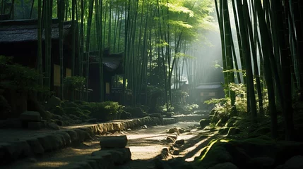 Fotobehang bamboo forest in the morning. © Shades3d