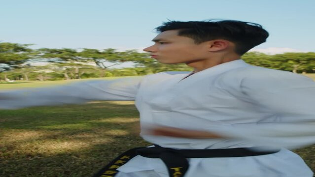 Vertical shot of young Asian sportsman practicing taekwondo jab punches in local park