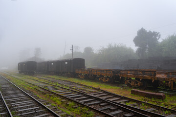 Fototapeta na wymiar Fog envelops the serene Ambewela railway, highlighting the tracks and greenery. A mystical aura, accentuated by the quietude of nature. Ambewela, Sri Lanka. 