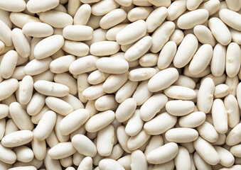 White healthy dry raw white bean seeds textured background.Macro.
