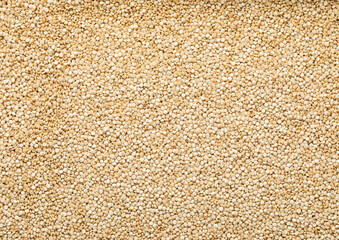 White healthy bolivian quinoa balanda grain seed textured background.Macro.