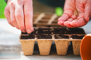 Hands sowing seeds into the soil