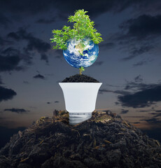 Earth with tree on soil with light bulb over sunset sky, Save the earth concept, Elements of this image furnished by NASA