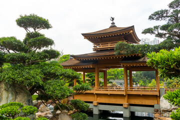 Nan Lian Garden , Beautiful Chinese garden during morning sunny day in Hongkong : 26 March 2024