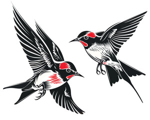 Obraz premium two black and white birds with red beaks
