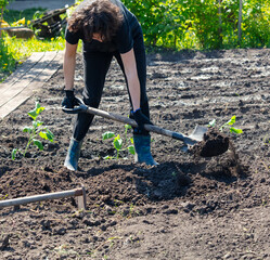 A woman digs soil with a shovel in the garden in the spring