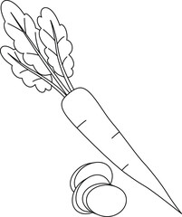 White Radish Isolated Vector Illustration Hand Drawn Coloring Page for Kids