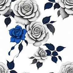 Black rose on White background